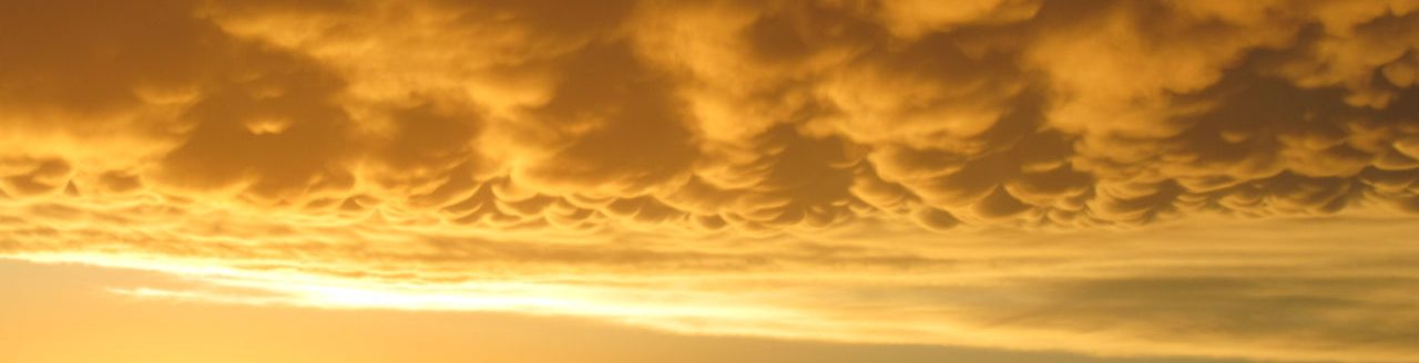 Wind turbines (By Adam Weeks, Brownell, Kansas)