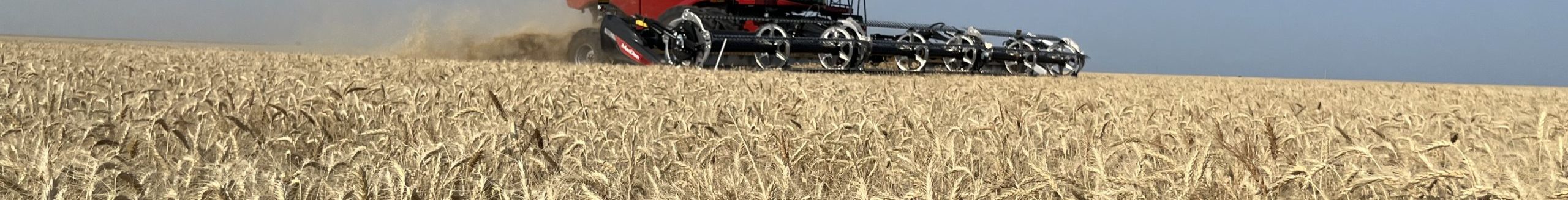 Combining by Walters, Oklahoma.