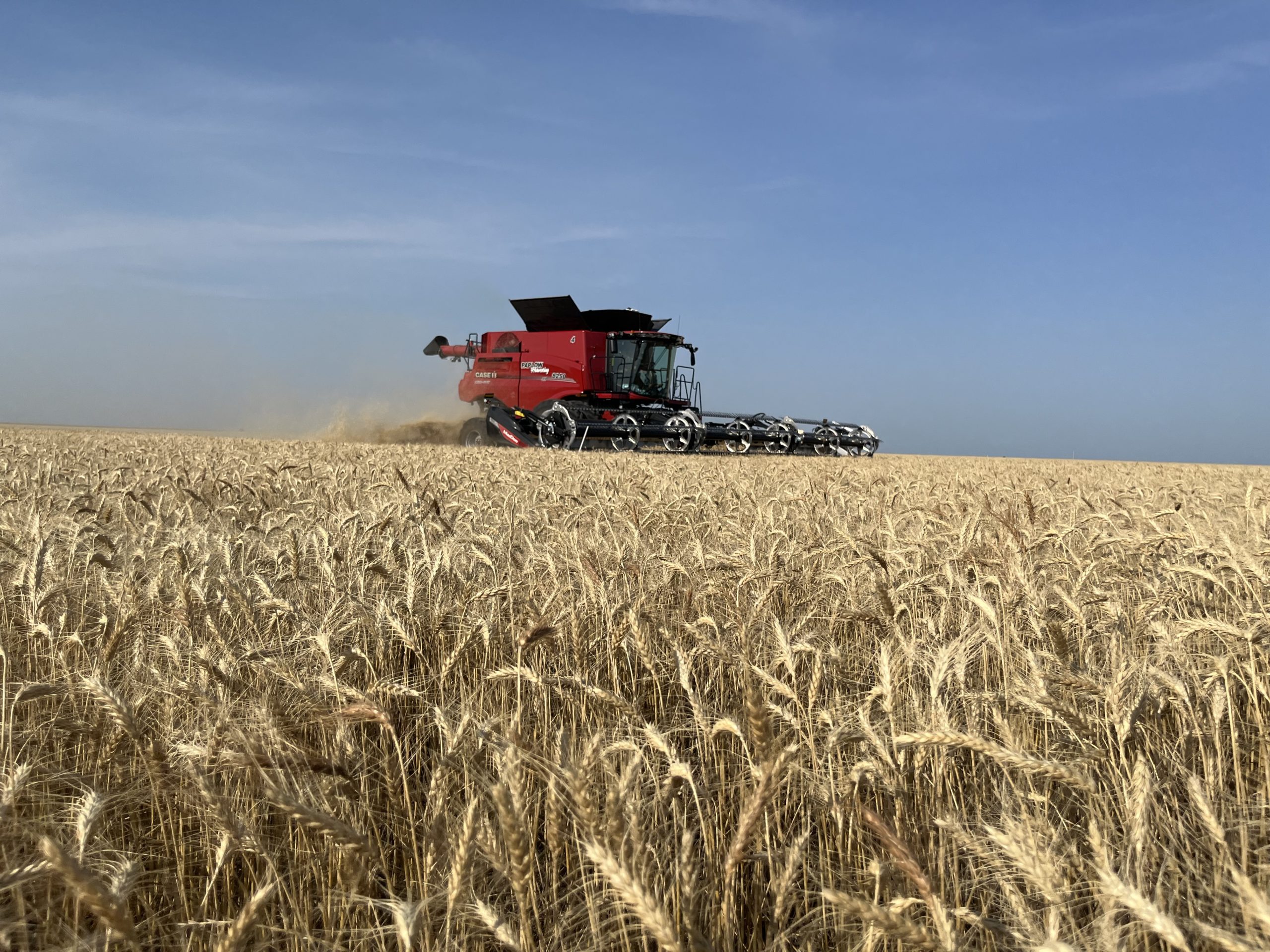 Combining by Walters, Oklahoma.