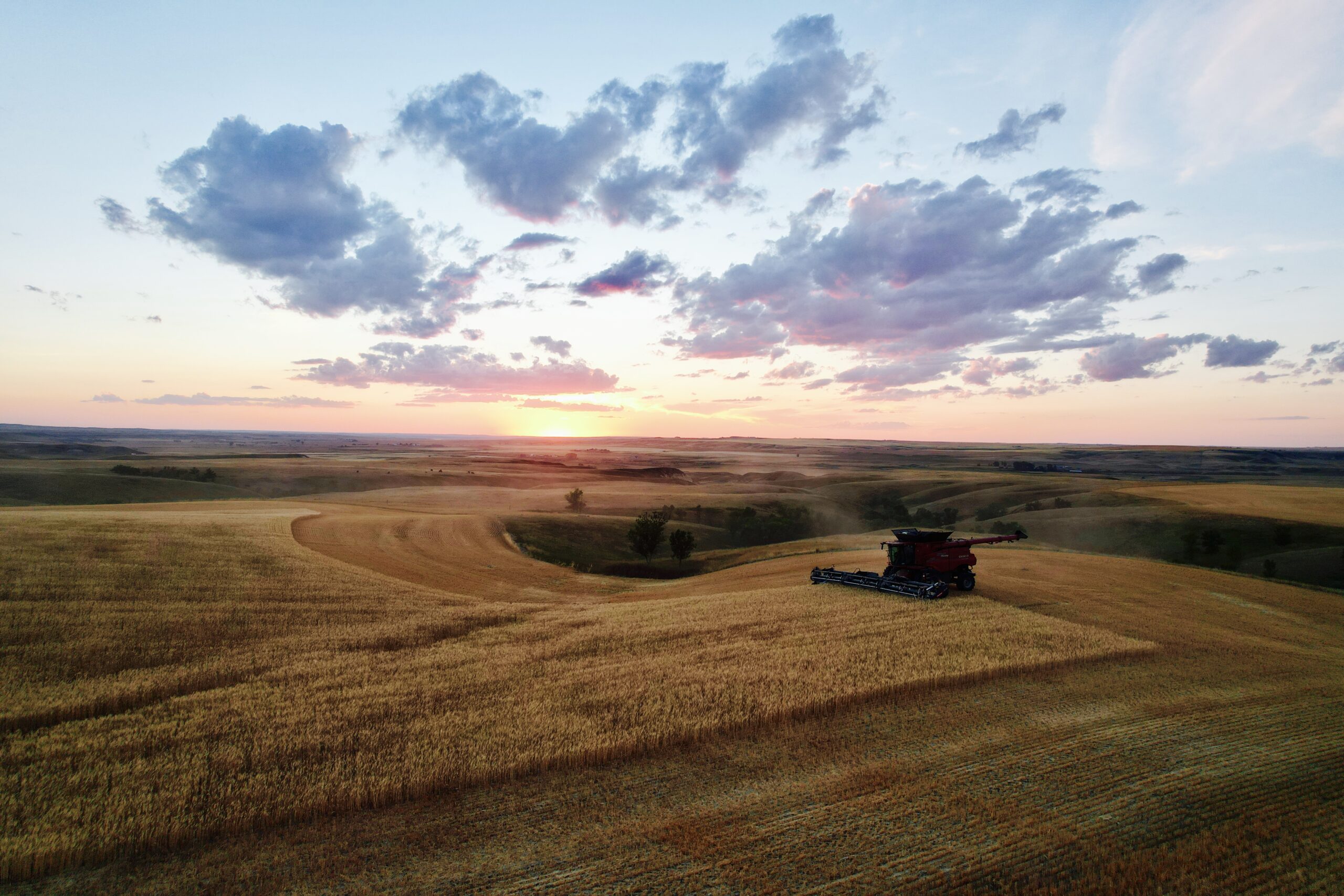 The sunset this evening in Plentywood, Montana was just amazing. It was a beautiful night to cut. Photo by Paul Paplow.