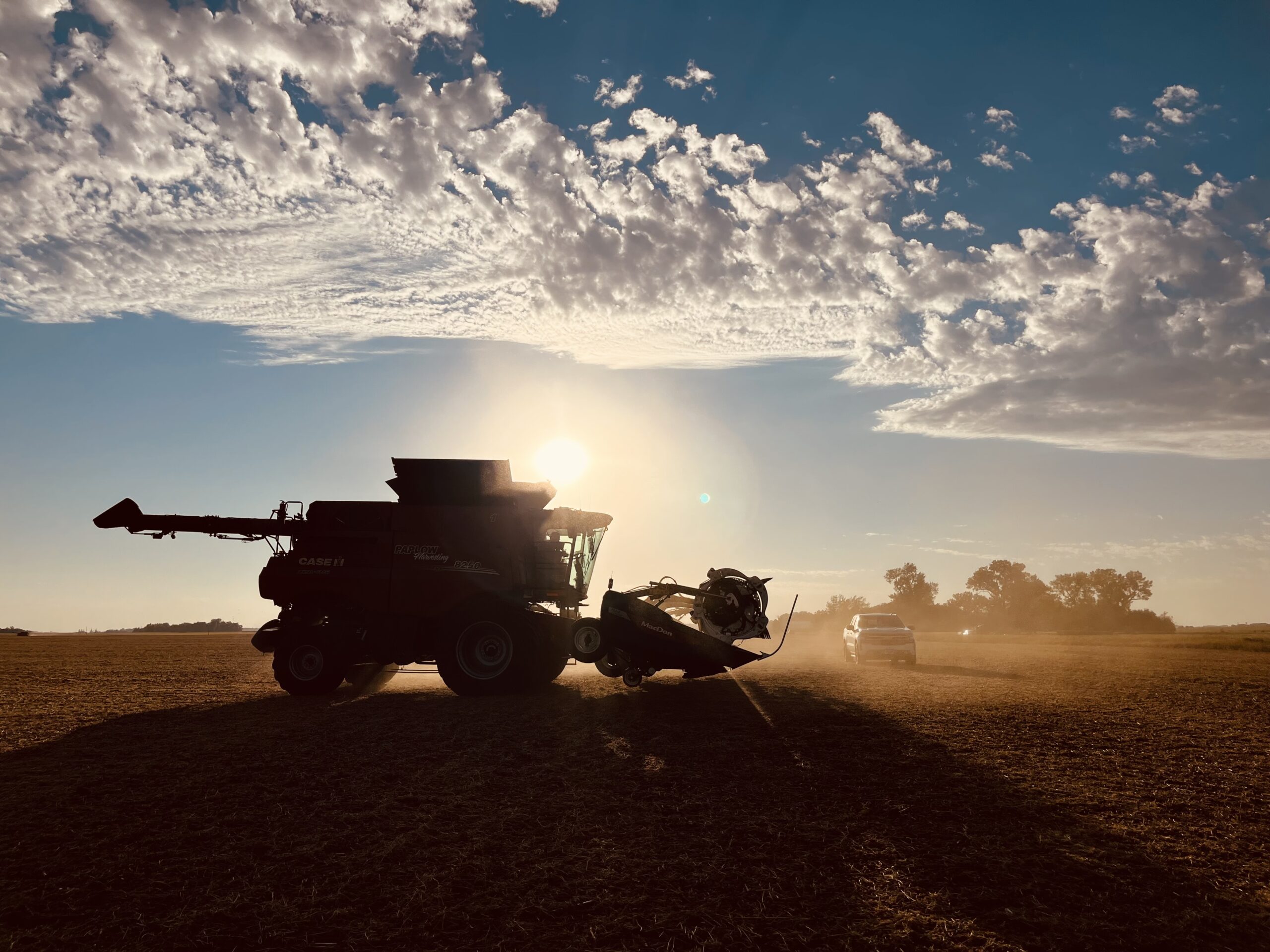 Combining beans by Round Lake, Minnesota.