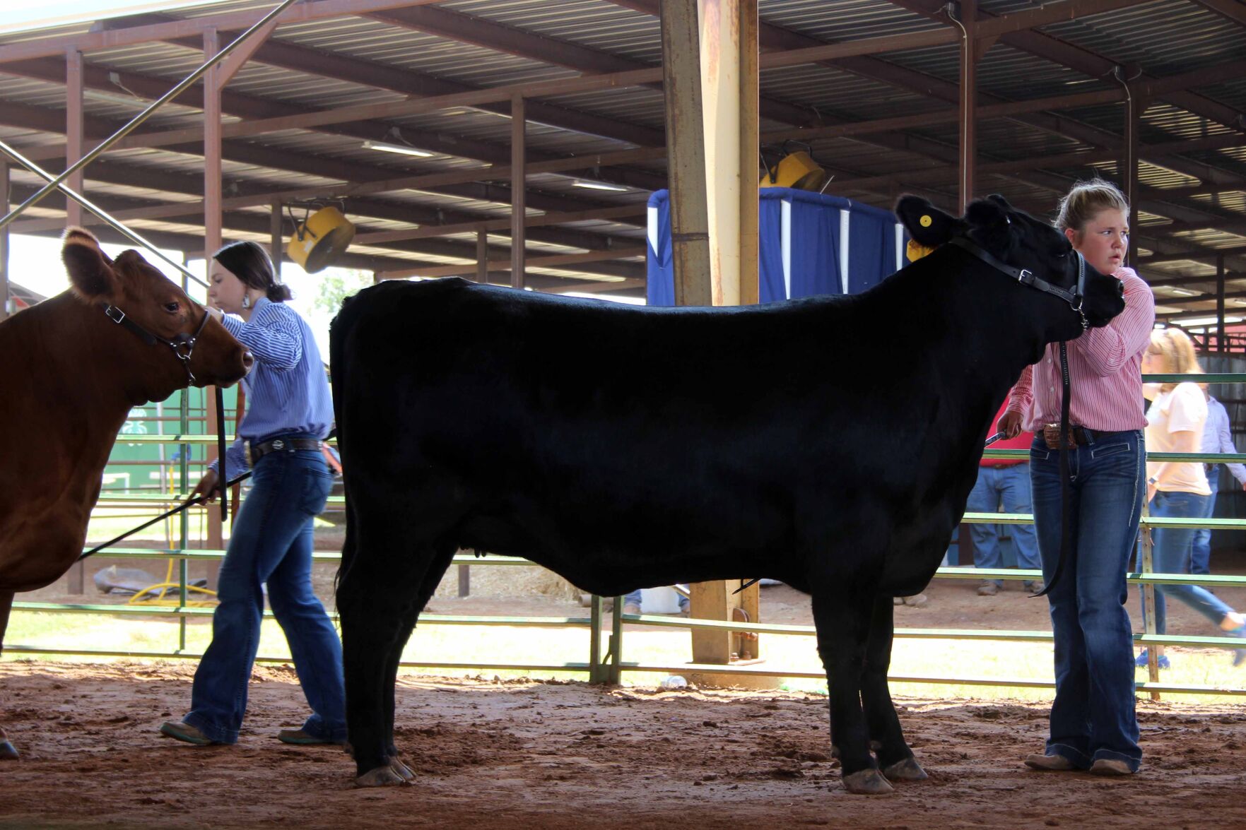 Barber County Fair highlights High Plains Journal