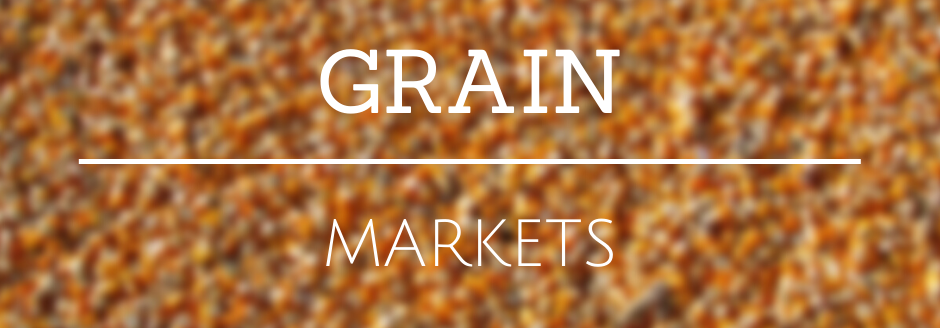 Grain Markets