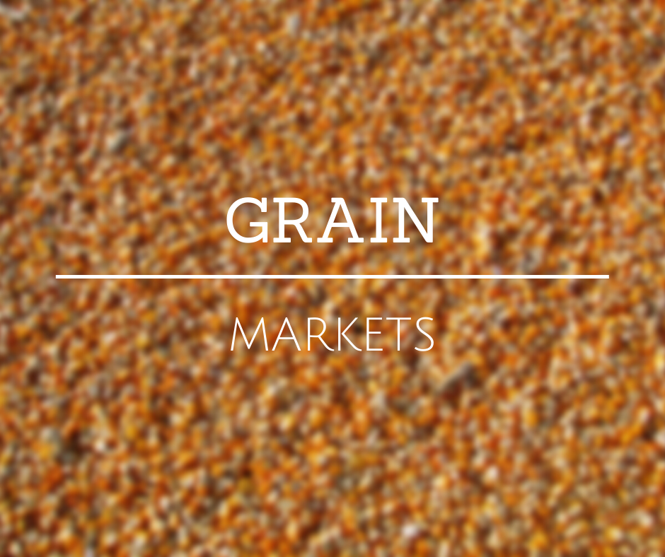 Grain Markets