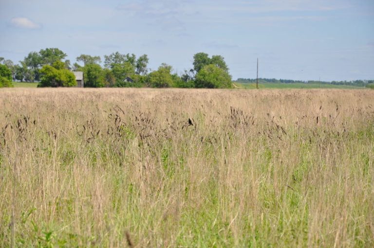 Conservation.(Photo courtesy of United States Department of Agriculture.)