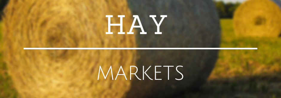 Hay Markets