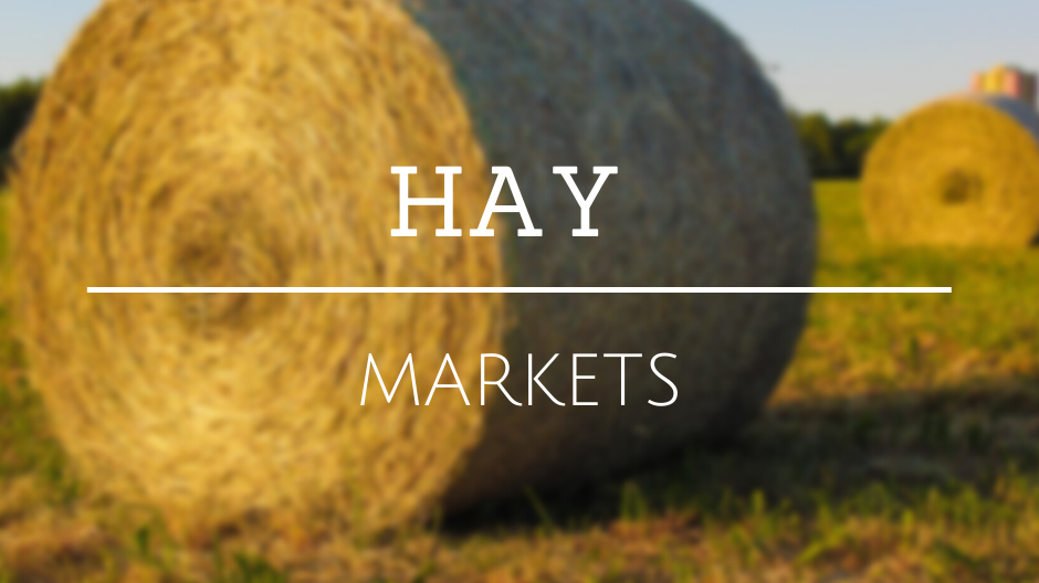 Hay Markets