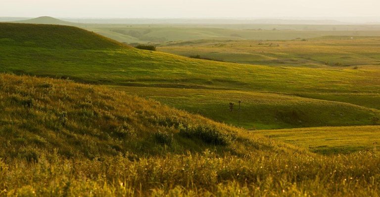 Tallgrass prairie