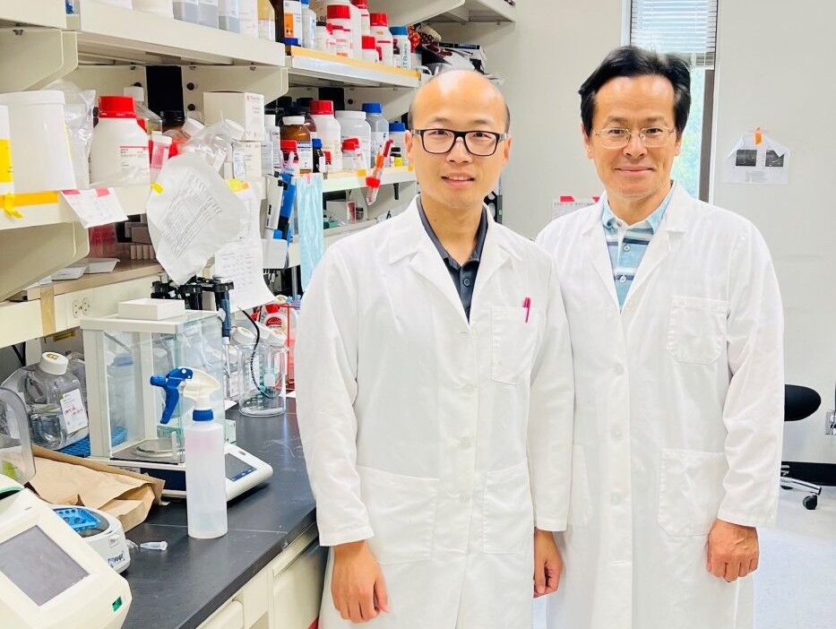 Wanbao Yang, Ph.D. and Shaodong Guo, Ph.D.
