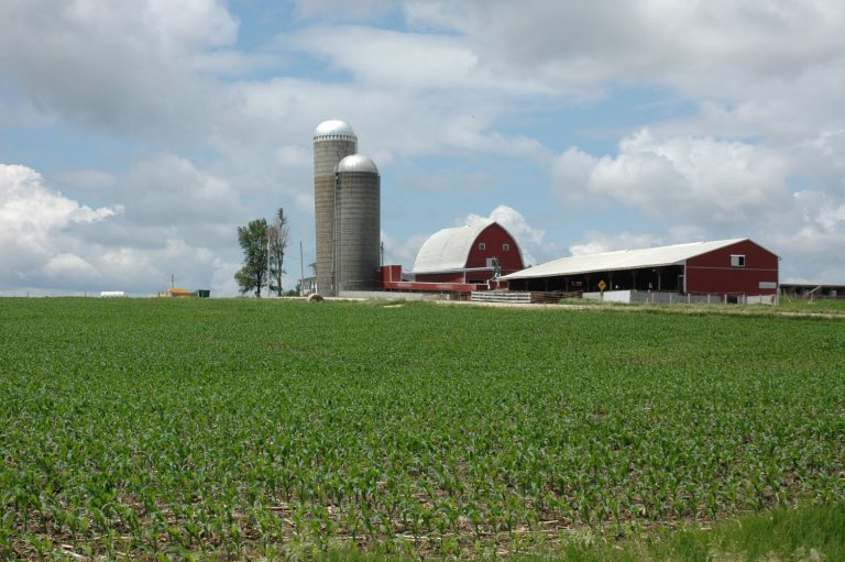 Farmstead (Journal photo by Jennifer Carrico.)