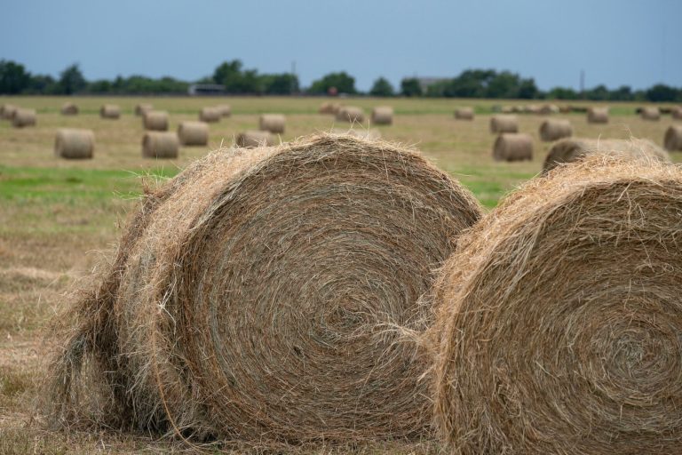 Hay bales