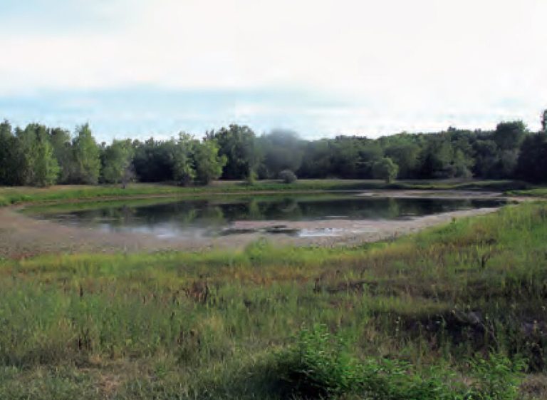Farm pond