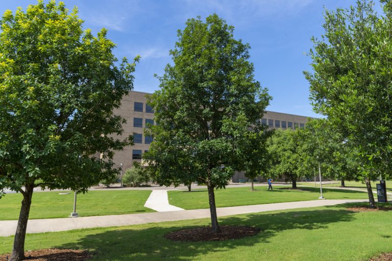 (Photo by Michael Miller, Texas A&M AgriLife.)