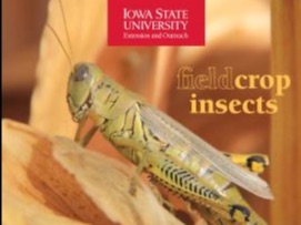 Iowa State University Field Crop Insect Guide