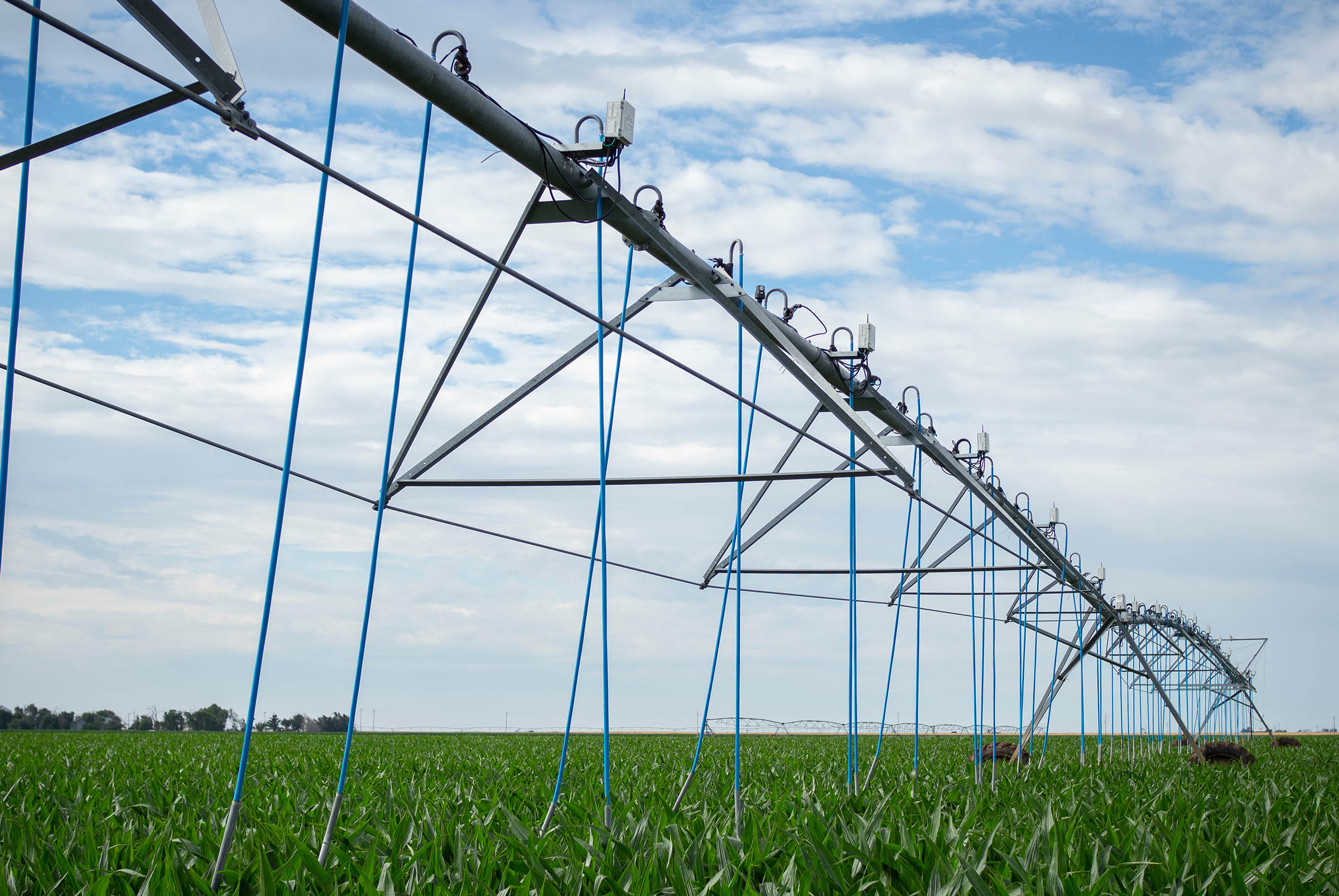 The center pivot irrigation system at the Oklahoma State University McCaull Research and Demonstration Farm will be one of the topics discussed at this year’s Panhandle Crops & Forages Field Day in Eva. The Aug. 31 event kicks off the fall field day events with topics like sorghum varieties, nitrogen management, soil moisture monitoring and managing spider mites in corn. (Photo by Todd Johnson, OSU Agriculture.)