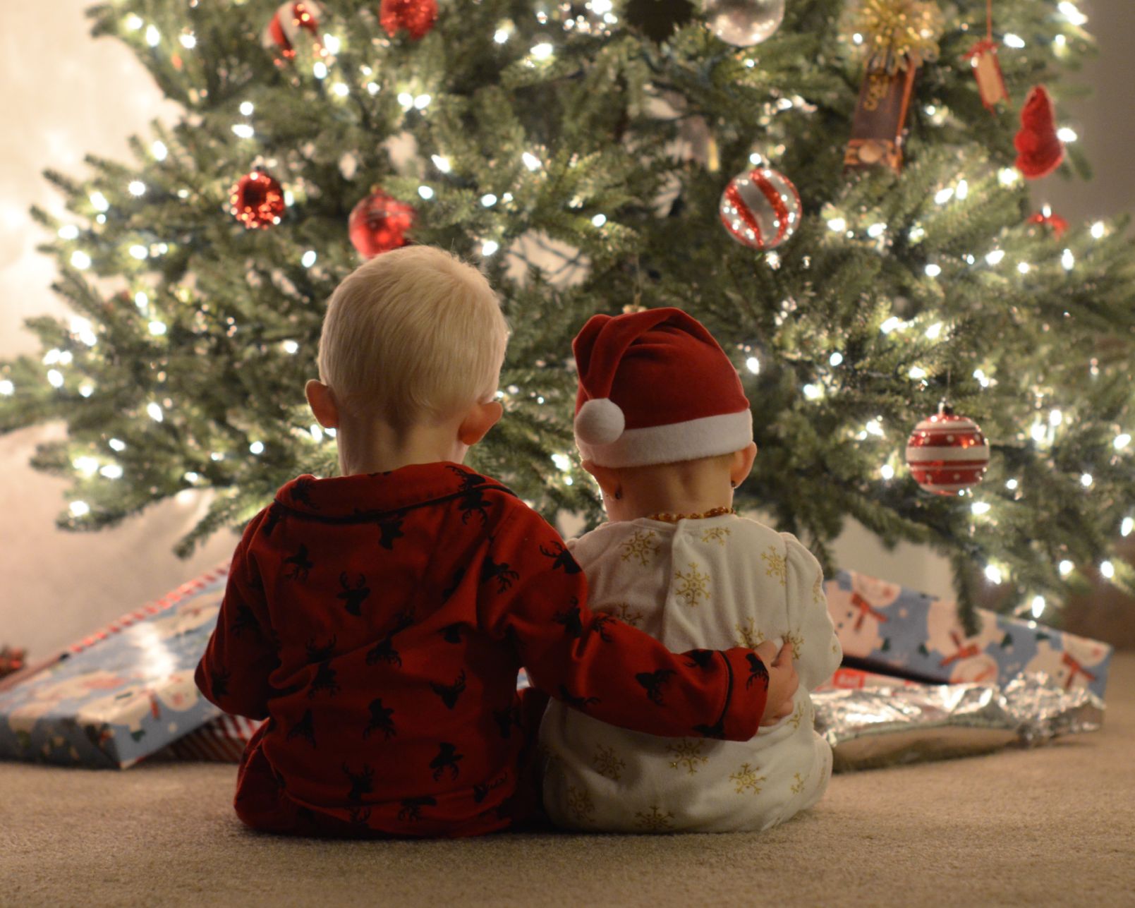 Happy Holidays (Photo by Michelle Crane, Peyton, Colorado.)