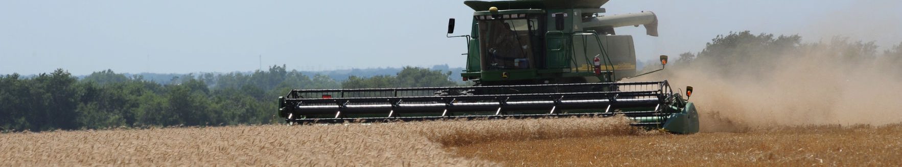 Wheat harvest (KSRE photo by Dan Donnert.)