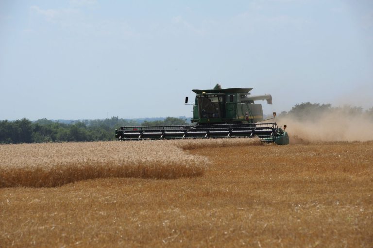 Wheat harvest (KSRE photo by Dan Donnert.)