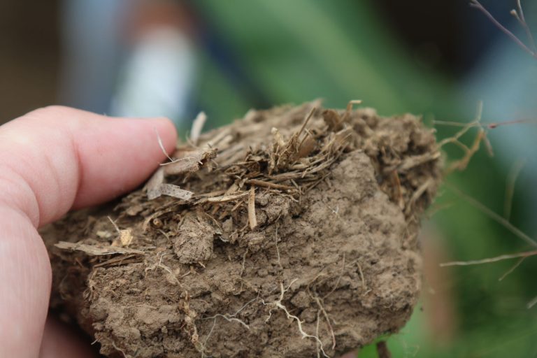 Soil moisture is defined as the ratio of the volume of water to the volume of soil. (Journal photo by Kylene Scott.)