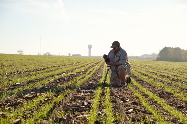 Loran Steinlage of Fayette County, Iowa, has been named the Iowa Leopold Conservation Award winner. (Photo courtesy of Sand County Foundation.)