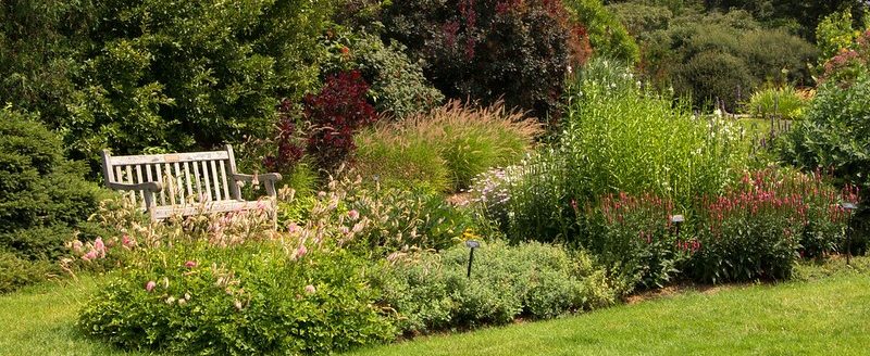 Because perennials are less formal than annuals, they often are used in border plantings such as those pictured. (Photo courtesy of University of Missouri Extension.)