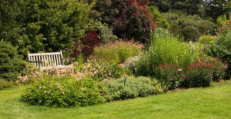 Because perennials are less formal than annuals, they often are used in border plantings such as those pictured. (Photo courtesy of University of Missouri Extension.)