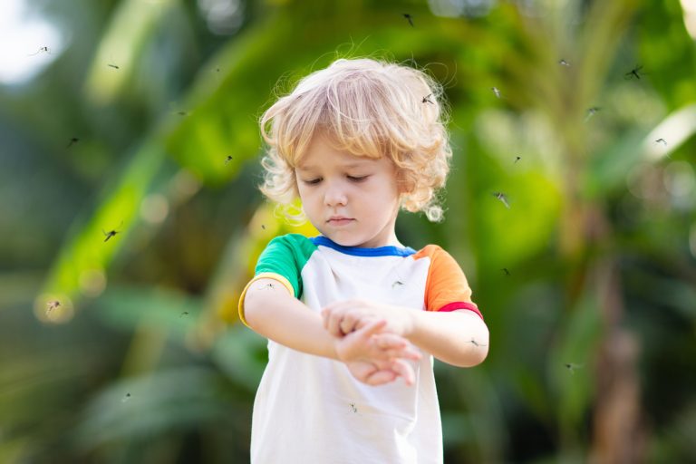 Mosquito on kids skin. (iStock - FamVeld)