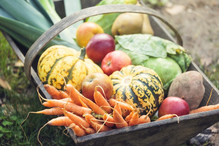 Wooden basket full of fresh, organic vegetables. (iStock - Brzozowska)