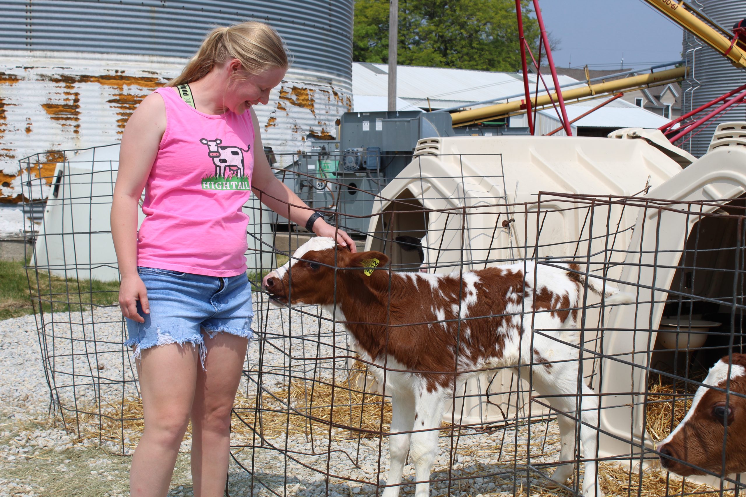 Natalie Paino with calf. (Photo courtesy of Iowa State University Extension and Outreach.)