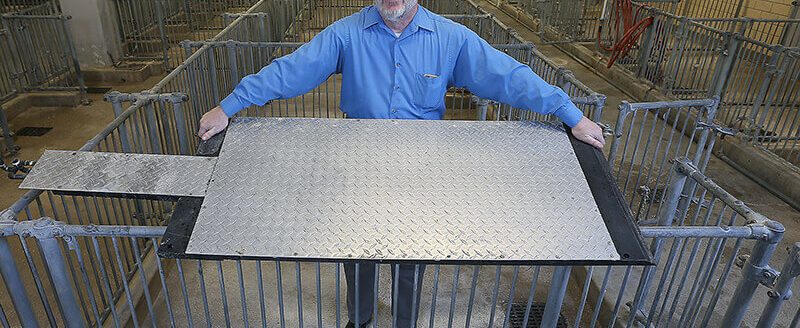 Robert M. Stwalley III, clinical associate professor in the Department of Agricultural and Biological Engineering at Purdue University, shows a cooling pad designed to keep hogs cool. IHT Group of Winnipeg, Manitoba, has signed an exclusive license and will manufacture and sell the pads in North America beginning spring 2024. (Photo by Tom Campbell, Purdue Agricultural Communication photo.)