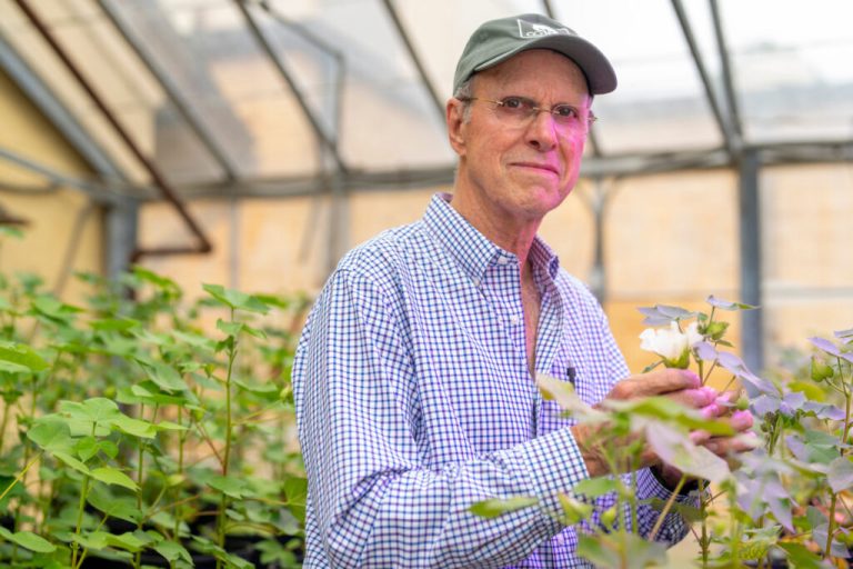 Ray Frisbie, Ph.D., helped write the initial boll weevil eradication plan for Texas. (Photo by Michael Miller, Texas A&M AgriLife.)