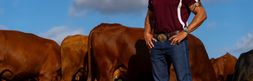 Reinaldo Cooke, Ph.D., stands among Texas A&M University beef cattle in College Station. (Photo by Michael Miller, Texas A&M AgriLife.)