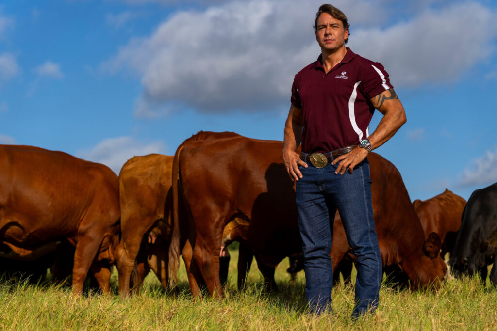 Reinaldo Cooke, Ph.D., stands among Texas A&M University beef cattle in College Station. (Photo by Michael Miller, Texas A&M AgriLife.)