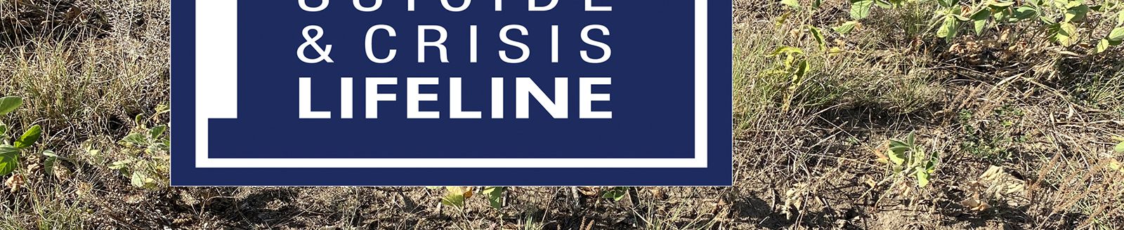 Drought affects more than plants and livestock. September – National Suicide Prevention Month – is a painful reminder that life is tough in rural America, especially after major events such as drought and flood. (Soybean photo by Valerie Tate, University of Missouri Extension.)