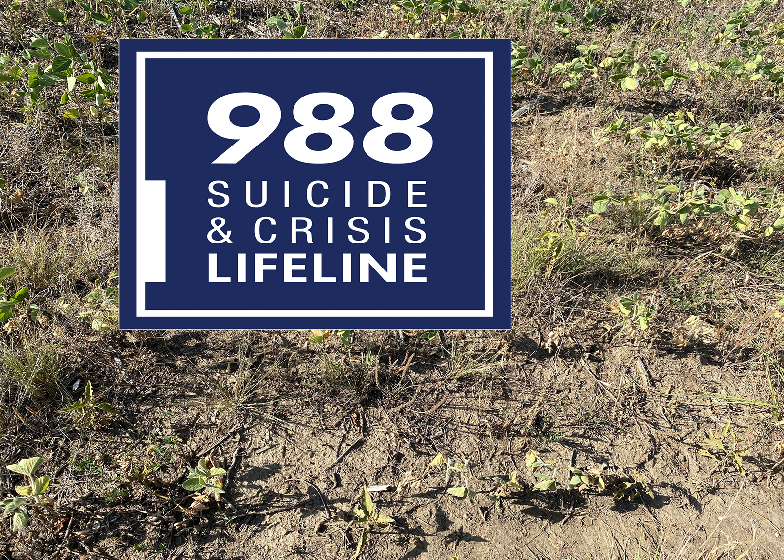 Drought affects more than plants and livestock. September – National Suicide Prevention Month – is a painful reminder that life is tough in rural America, especially after major events such as drought and flood. (Soybean photo by Valerie Tate, University of Missouri Extension.)