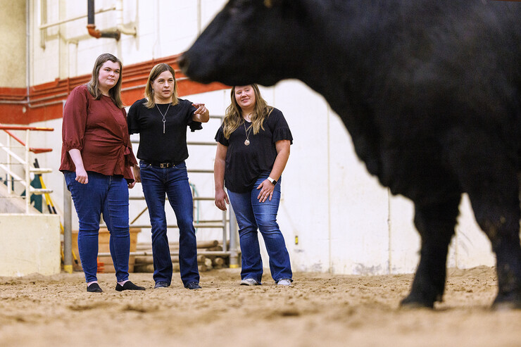 Jessica Petersen (center), associate professor of animal science, and graduate students Mackenzie Batt (left) and Lauren Seier (right) are part of a five-person Husker team whose research can expand the range of genetic tools used by breeders to boost cattle growth efficiency. An increase in feed efficiency of just 1% would save the U.S. cattle sector more than $11 million a year. (Photo by Craig Chandler, University Communication and Marketing.)