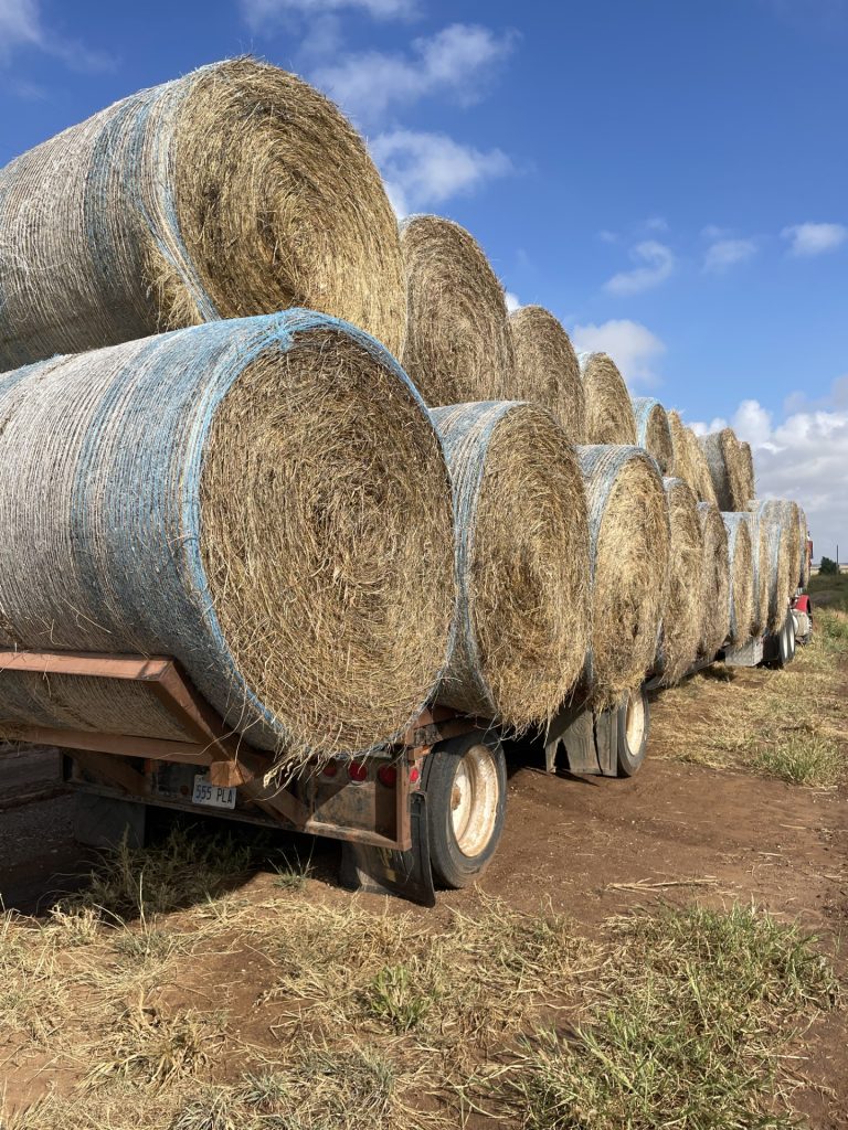 Area Hay Prices June 29, 2024 High Plains Journal