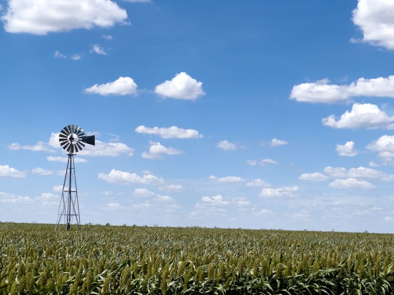 Agricultural producers face many stressors during the course of a year. (Journal photo by Kylene Scott.)