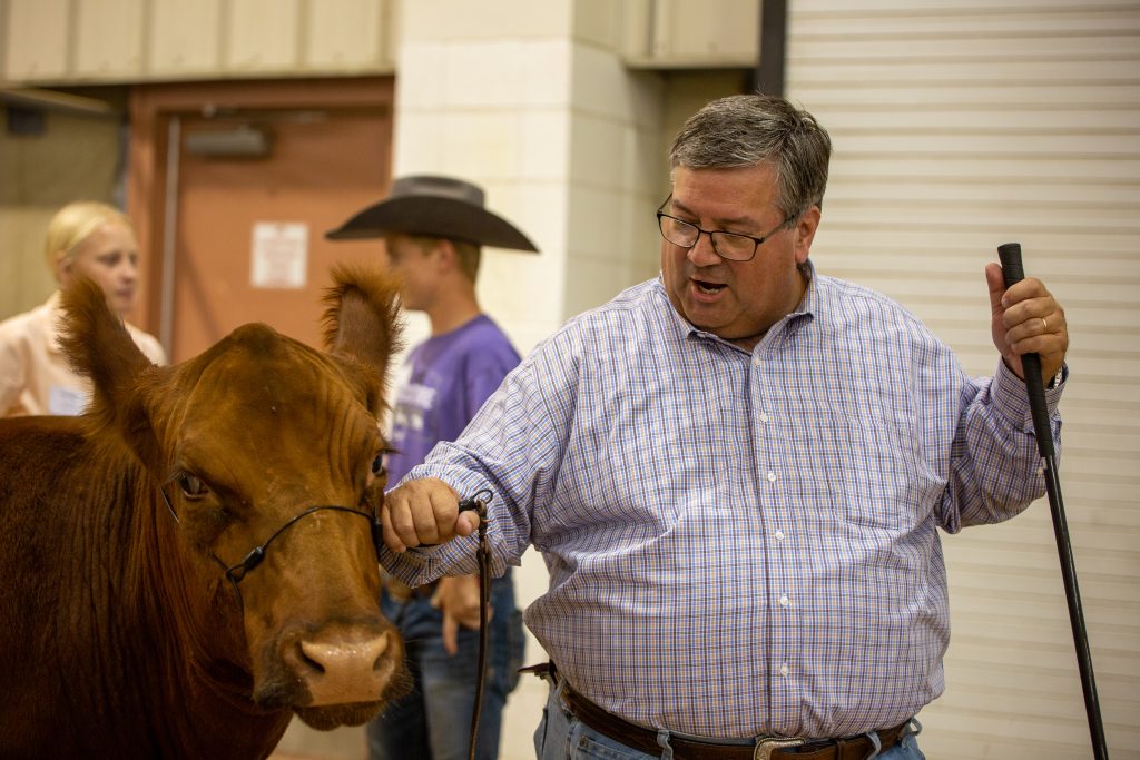 Legislative steer show at Kansas State Fair. (Journal photo by Kylene Scott.)