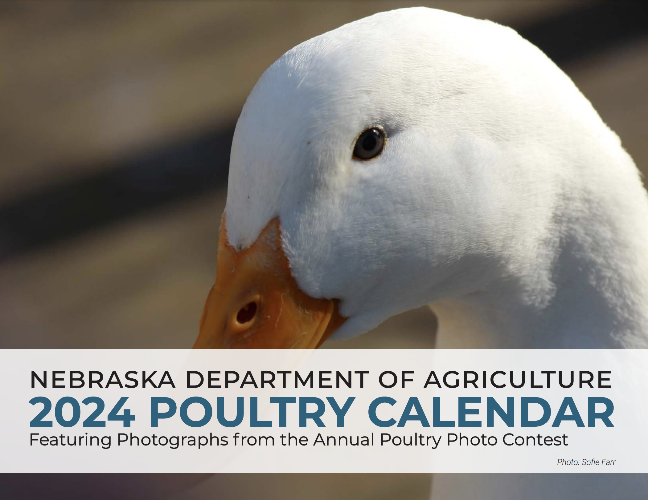 (Duck photo by Sofie Farr and calendar cover courtesy of Nebraska Department of Agriculture.)