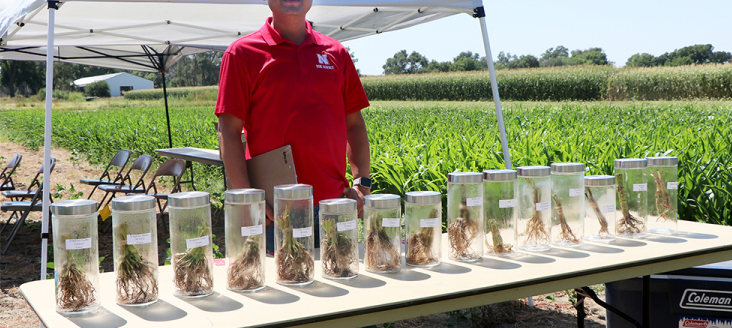 Vesh Raj Thapa, UNL post-doctoral research assistant, stands behind root samples from the plots at WREEC in North Platte. Photo by Chabella Guzman