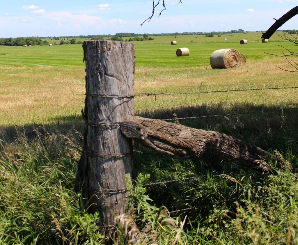 10 facts about Kansas fence law High Plains Journal