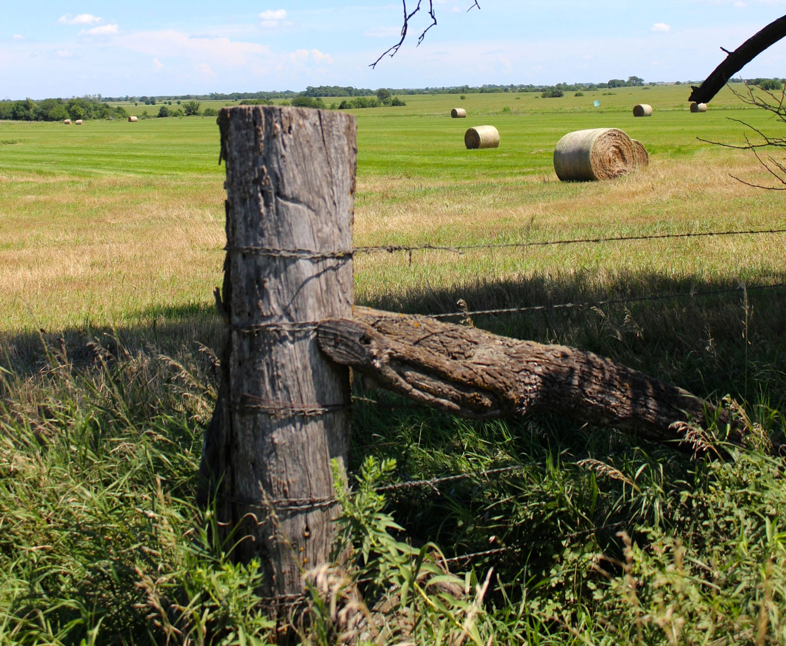 Talk to your neighbor before repairing or replacing a partition fence. Make sure you both understand your rights and responsibilities. The Kansas Livestock Association has fence law packets that can help its members with these conversations. (Journal photo by Doug Rich.)