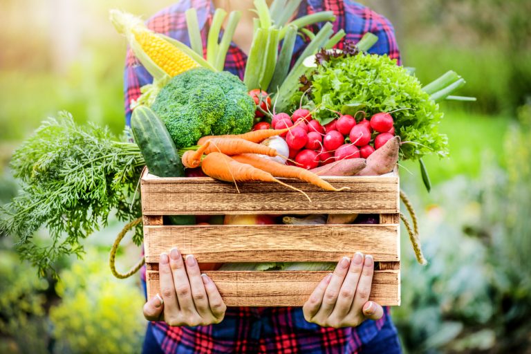 Farmer woman holding wooden box full of fresh raw vegetables (Photo: iStock - Milan Krasula)