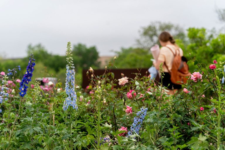There are a wide range of activities like walking nature trails, gardening, daily exercise in greenscapes and hunting that can connect people to the healing powers of nature. (Texas A&M AgriLife photos by Courtney Sacco and Michael Miller)