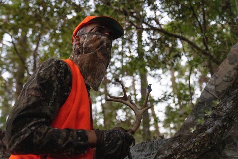 As general white-tailed deer hunting season opens Nov. 4 in Texas, a Texas A&M AgriLife Extension expert encourages safety precautions. (Texas A&M AgriLife photo by Courtney Sacco)
