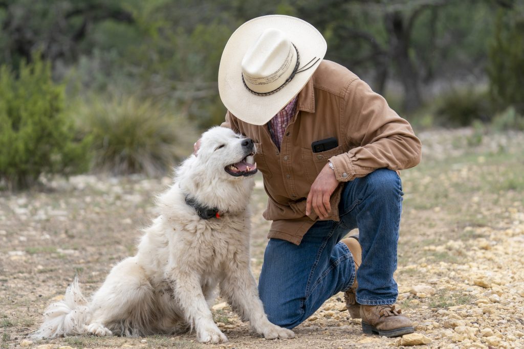 (Texas A&M AgriLife photo by Michael Miller)