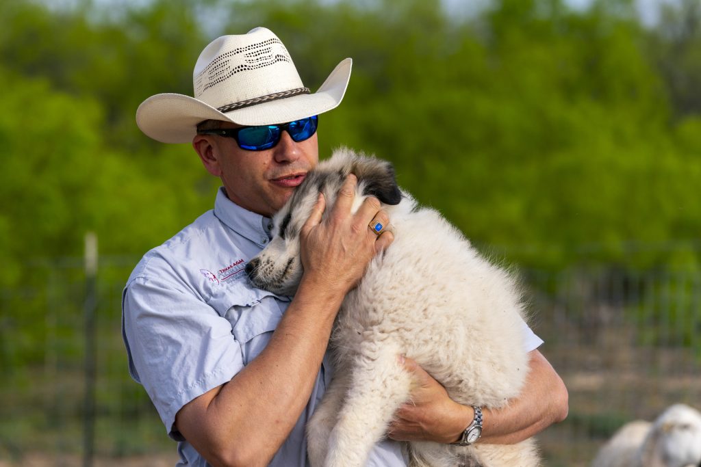 (Texas A&M AgriLife photo by Michael Miller)