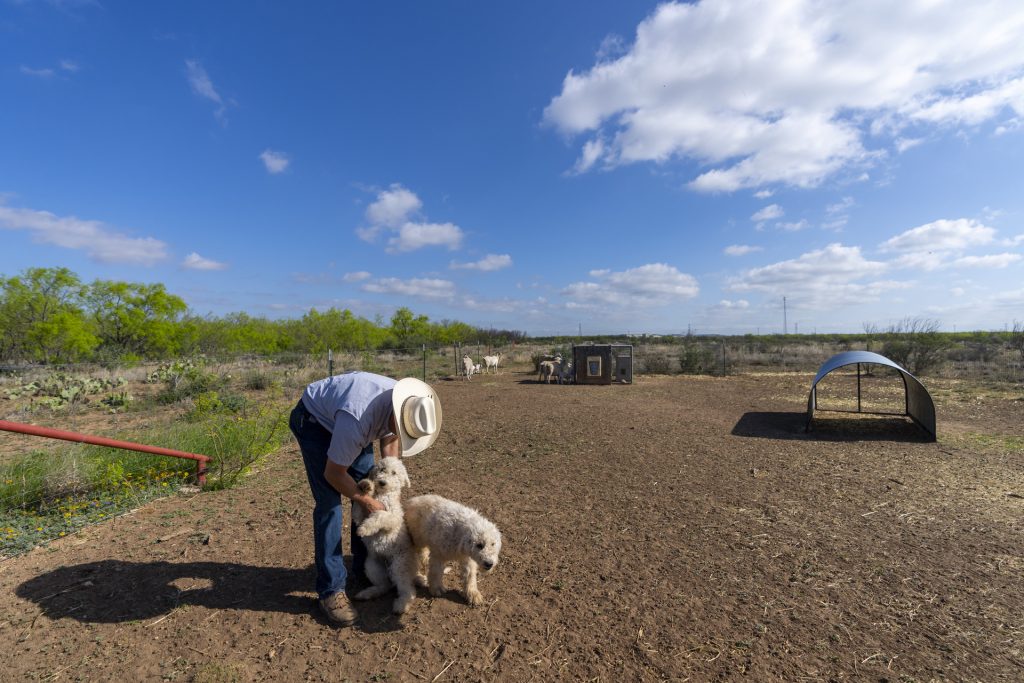 (Texas A&M AgriLife photo by Michael Miller)