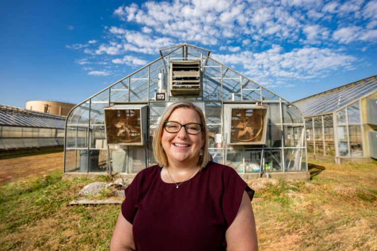 Julie Howe, Ph.D., professor and associate department head for undergraduate programs in the Department of Soil and Crop Sciences, is dedicated to finding research solutions to environmental challenges, teaching the next generation of soil scientists and providing extension outreach that helps Texas agriculture producers and industry advance. (Texas A&M AgriLife photo by Sam Craft)